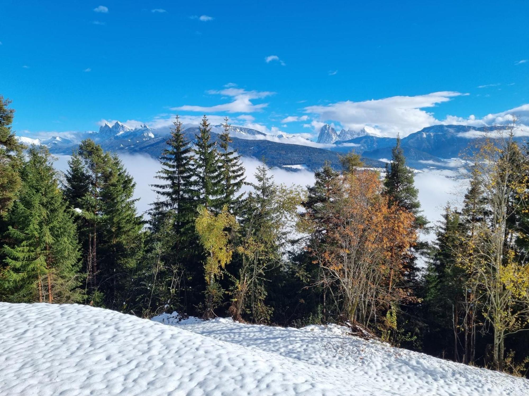 Alone In Chalet With View On Dolomites Вілландро Екстер'єр фото